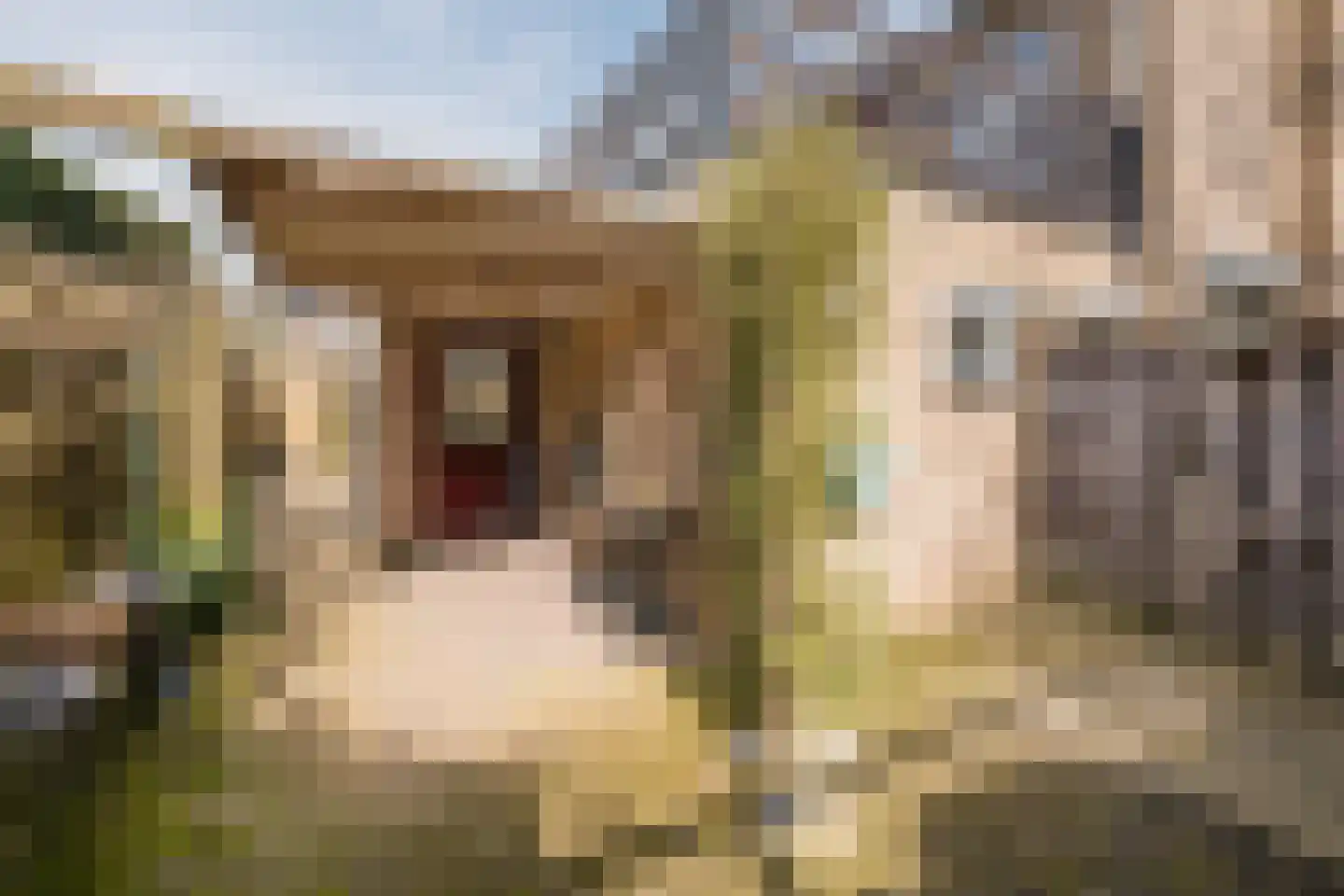 Kerkstraat 5 Luyksgestel thumbnail 34