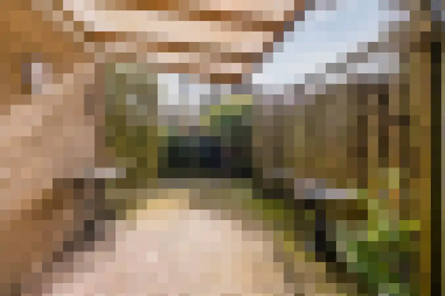 Kerkstraat 5 Luyksgestel thumbnail 36
