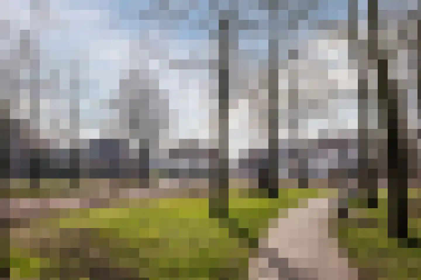 Kerkstraat 5 Luyksgestel thumbnail 44