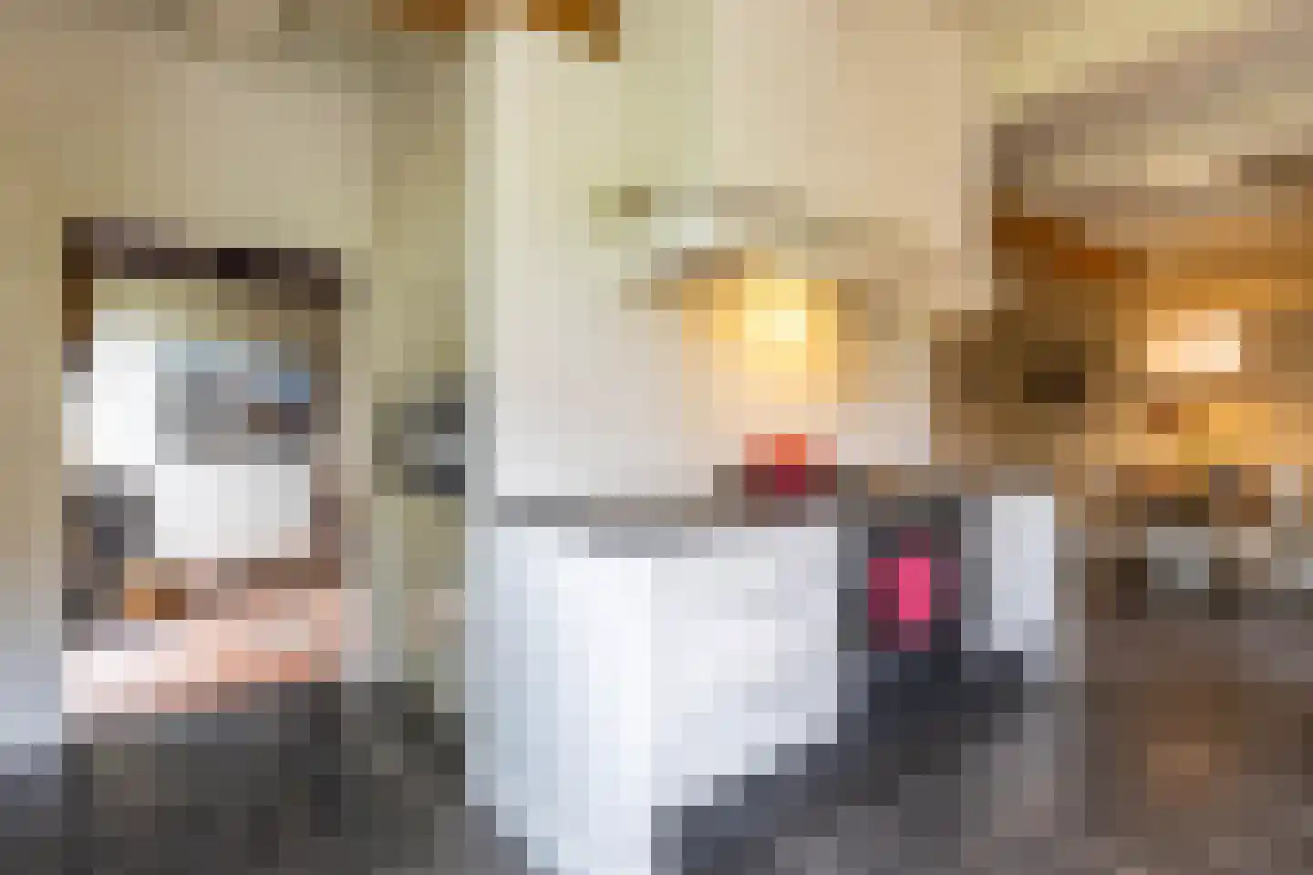 Kerkstraat 5 Noordlaren thumbnail 16