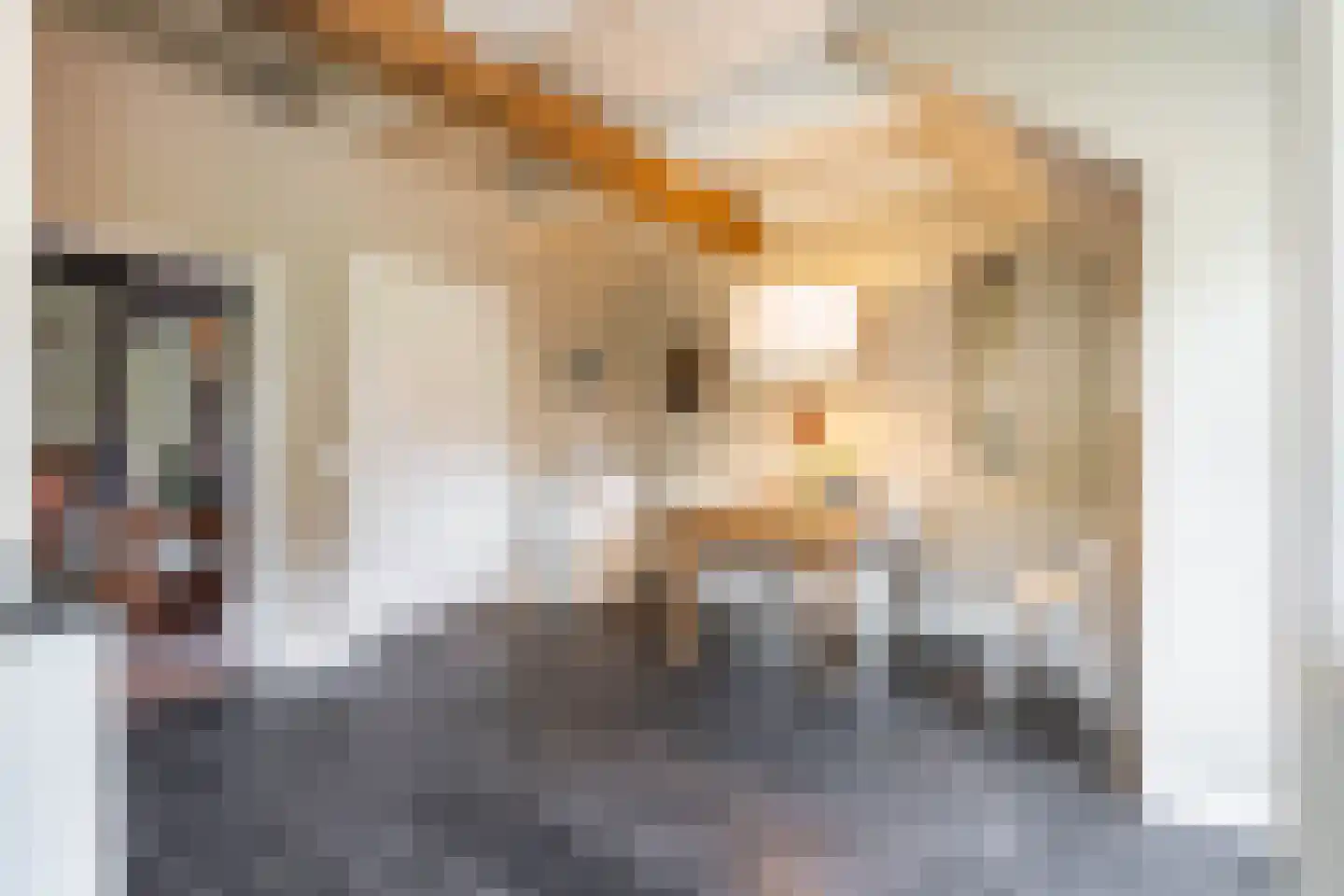 Kerkstraat 5 Noordlaren thumbnail 17