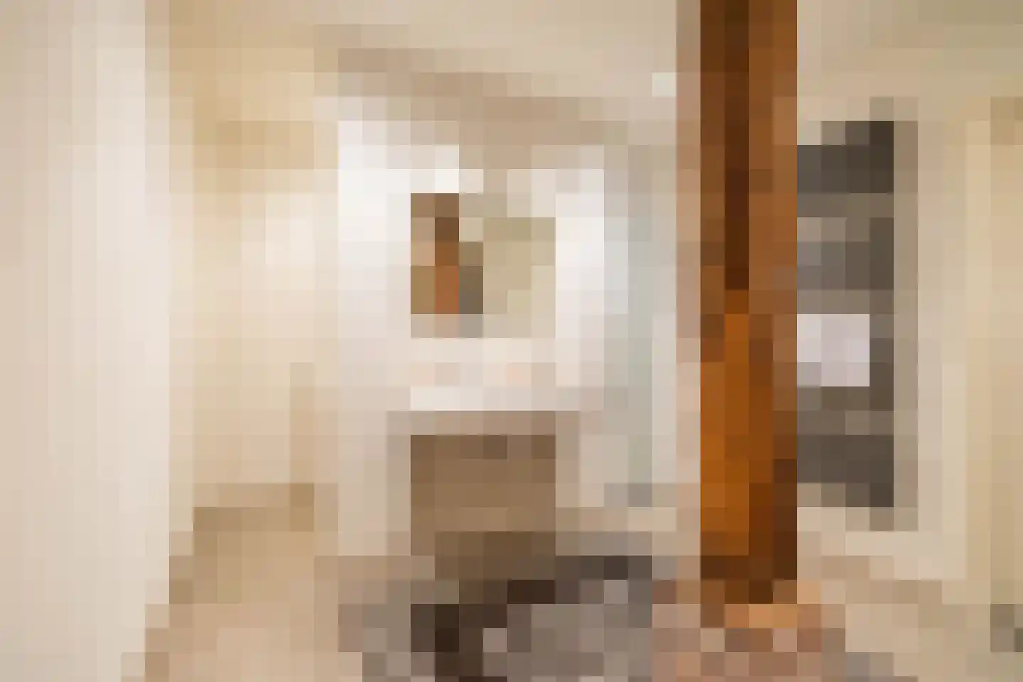 Kerkstraat 5 Noordlaren thumbnail 22