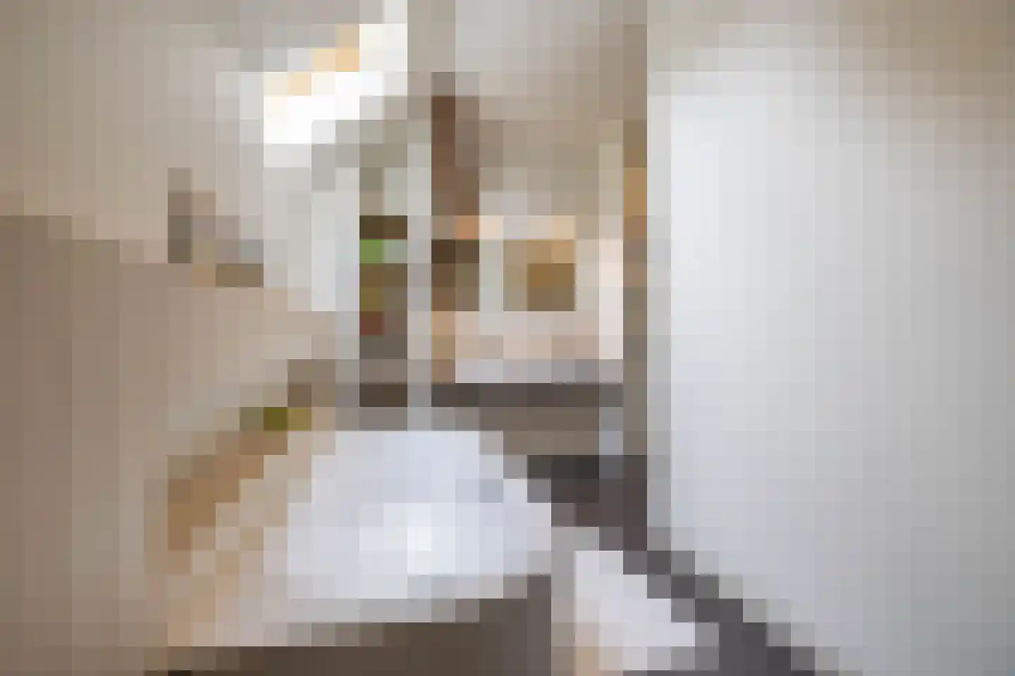 Kerkstraat 5 Noordlaren thumbnail 36