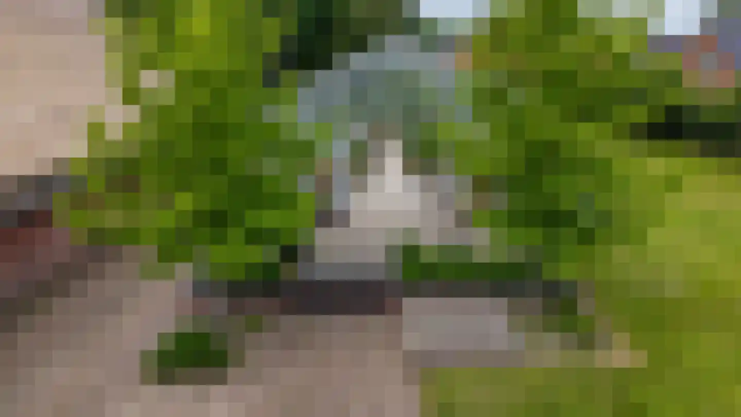 Kerkstraat 5 Noordlaren thumbnail 51
