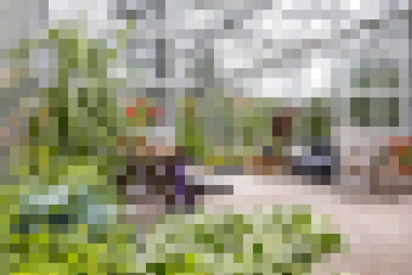 Kerkstraat 5 Noordlaren thumbnail 54
