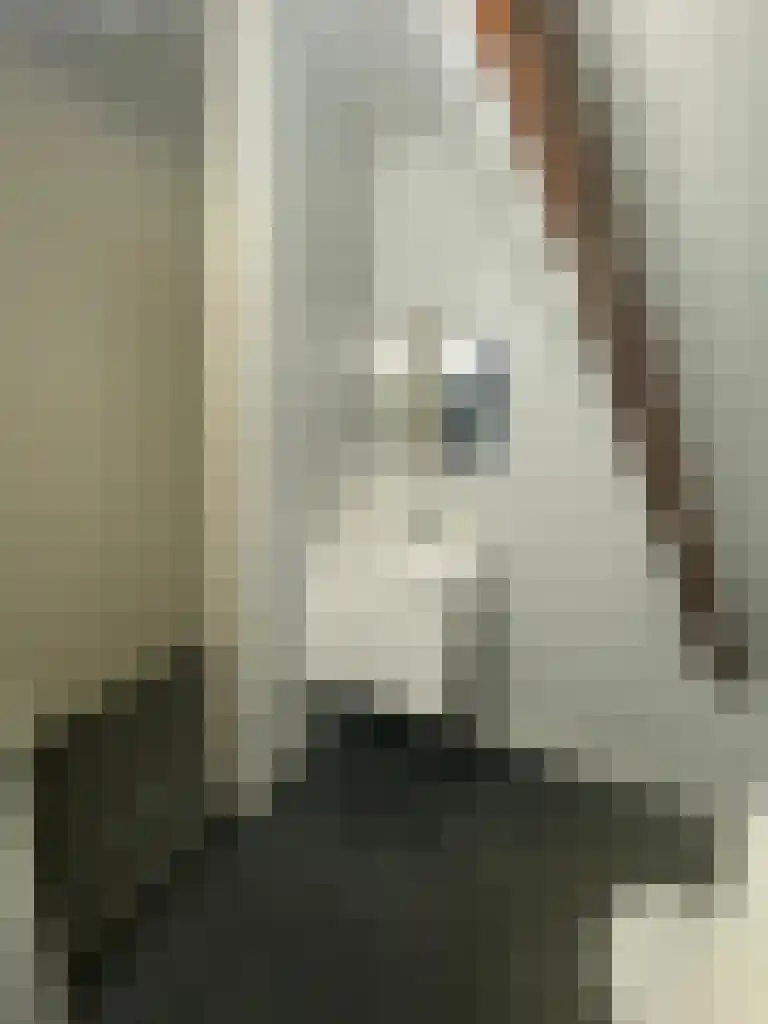 Kerkstraat 5 Wijhe thumbnail 4