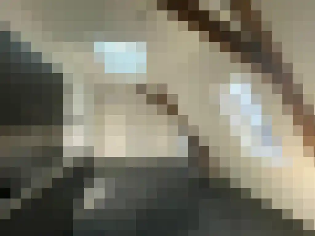 Kerkstraat 5 Wijhe thumbnail 5