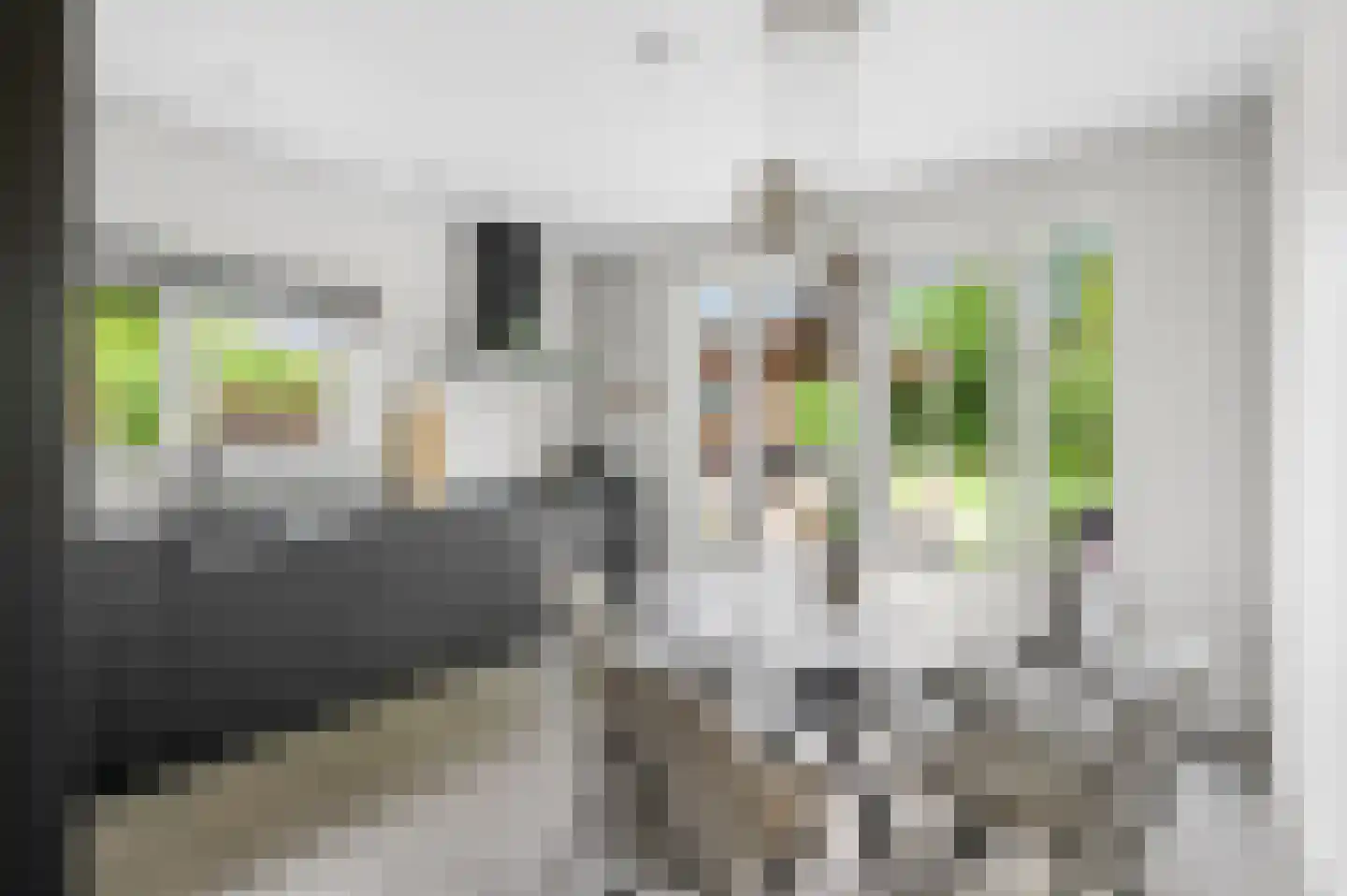 Kerkstraat 5 Zetten thumbnail 14