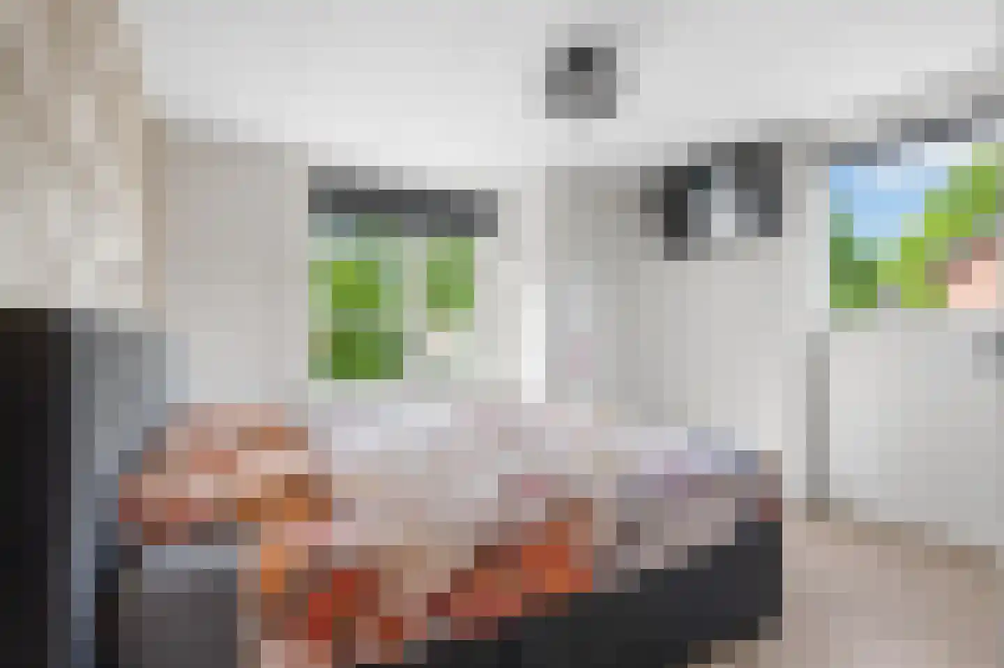 Kerkstraat 5 Zetten thumbnail 20