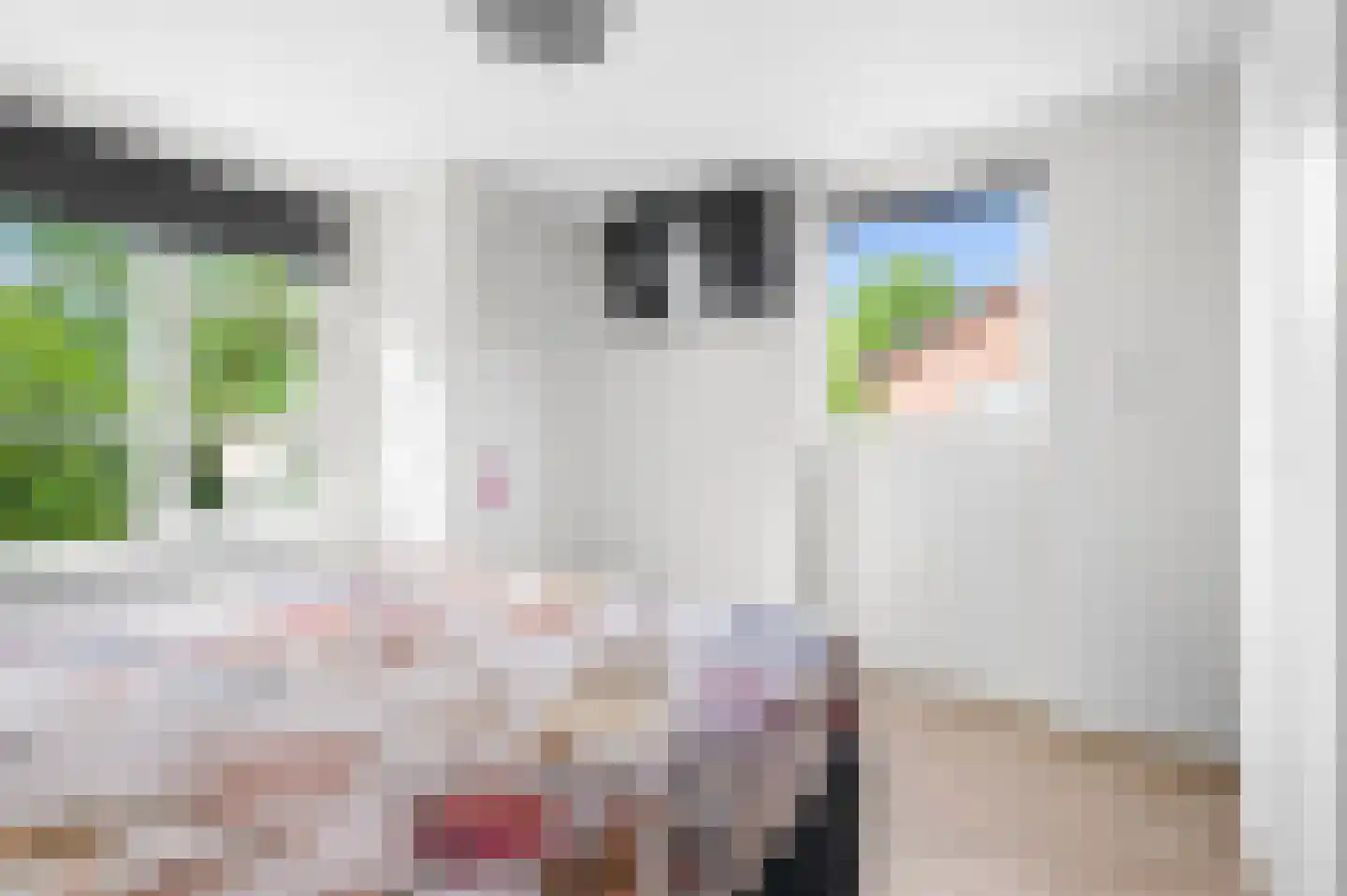 Kerkstraat 5 Zetten thumbnail 21
