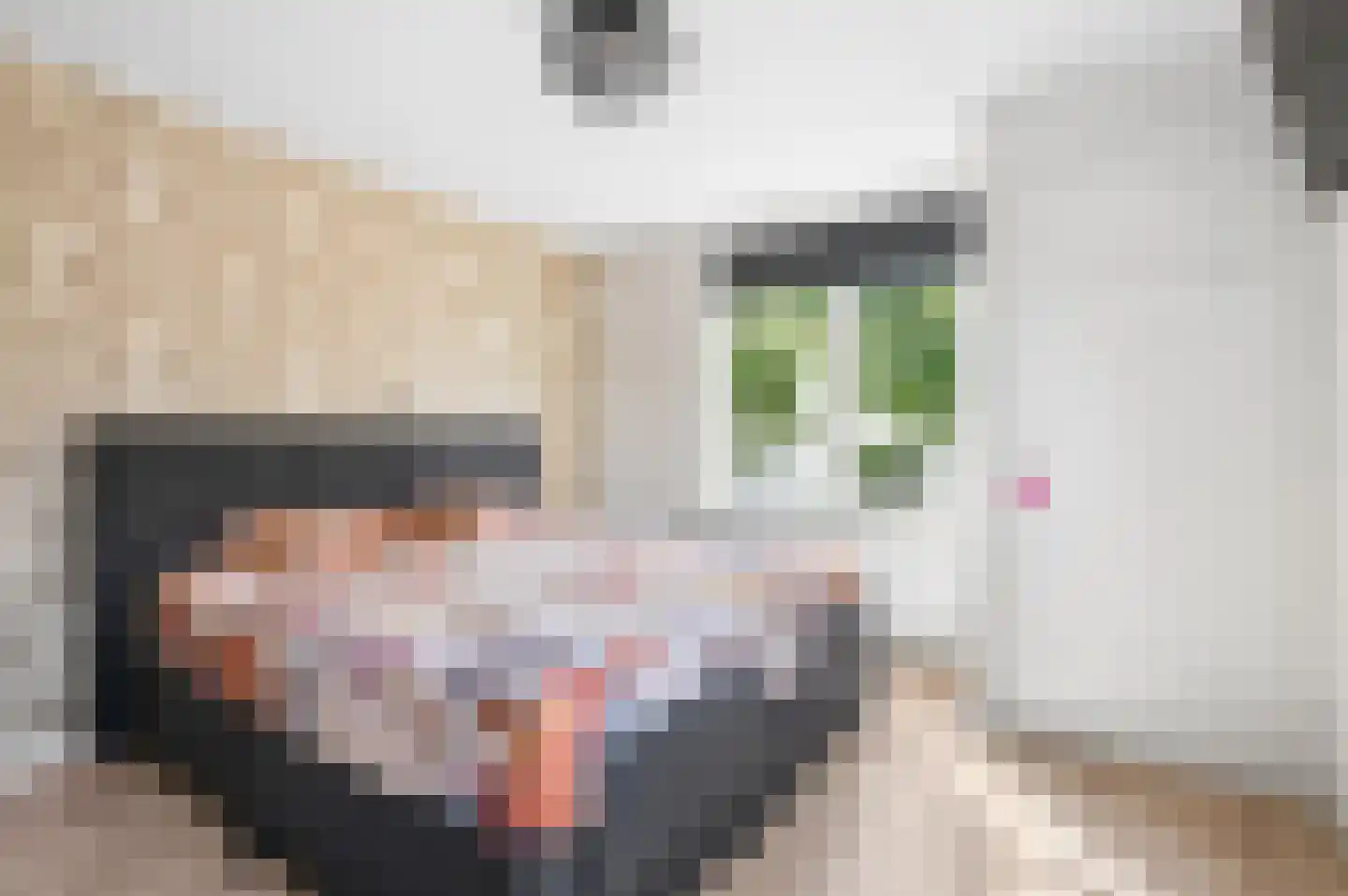 Kerkstraat 5 Zetten thumbnail 22