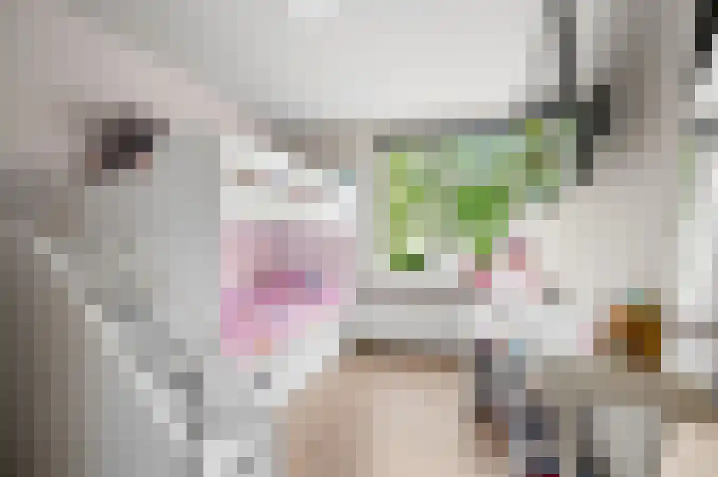 Kerkstraat 5 Zetten thumbnail 30
