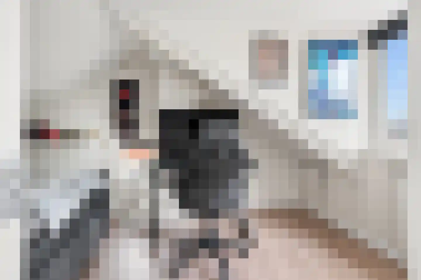 Kerkstraat 5 Zetten thumbnail 34