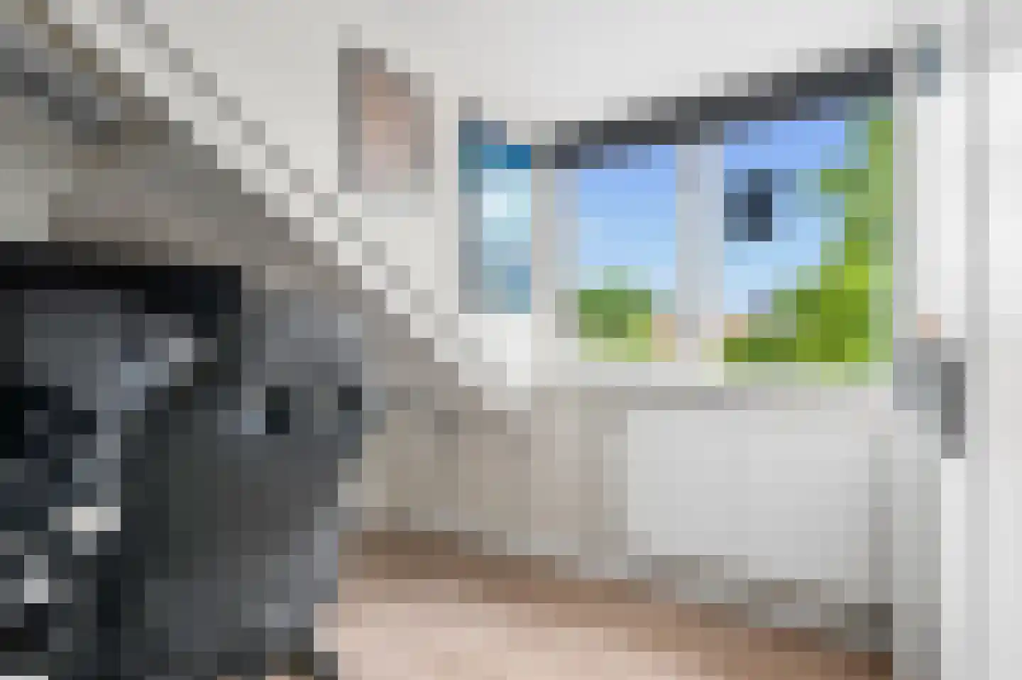 Kerkstraat 5 Zetten thumbnail 36