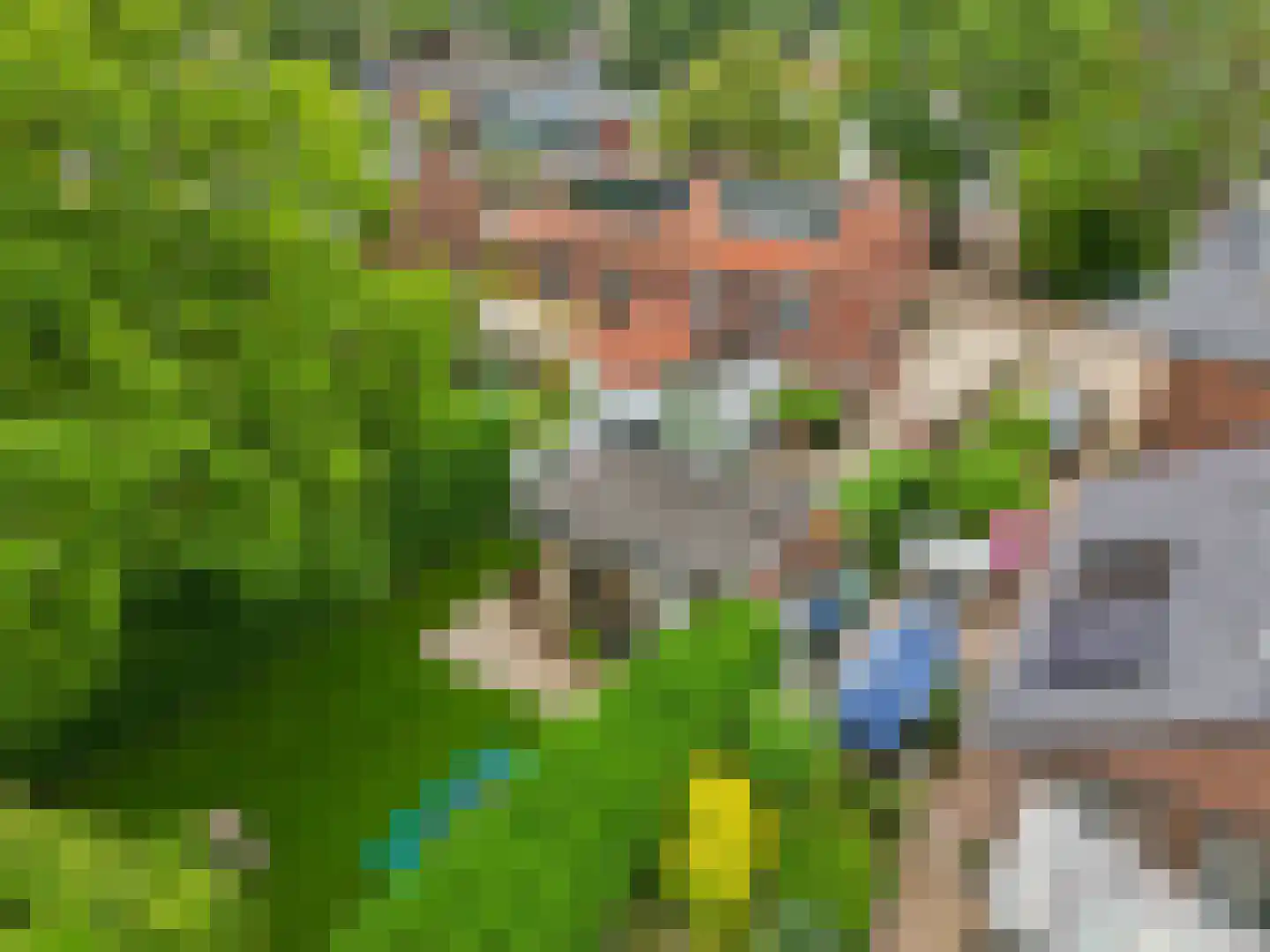 Kerkstraat 5 Zetten thumbnail 4