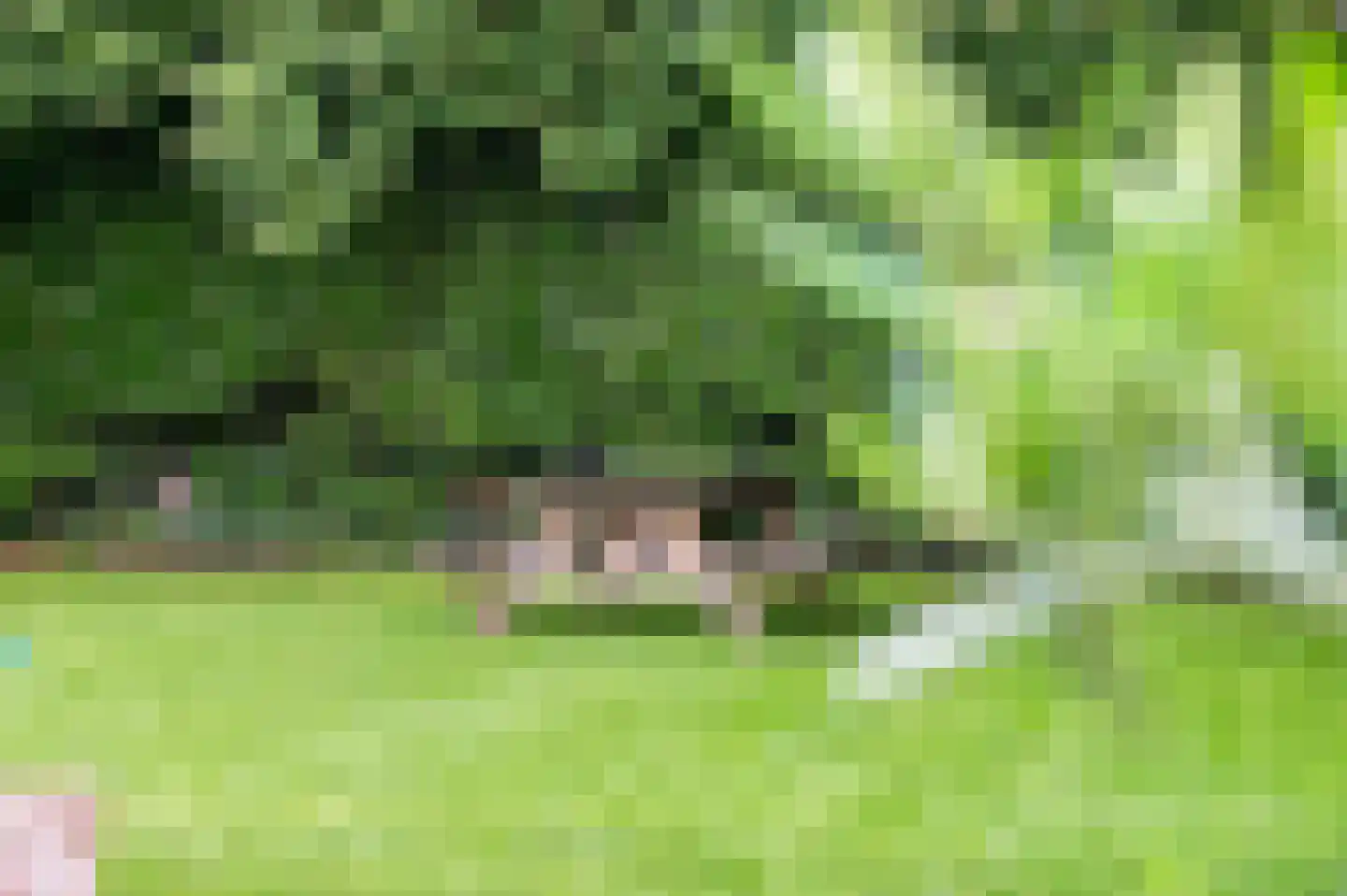 Kerkstraat 5 Zetten thumbnail 42