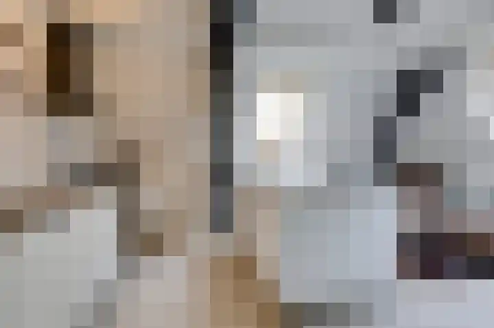 Kerkstraat 5 Zevenaar thumbnail 31