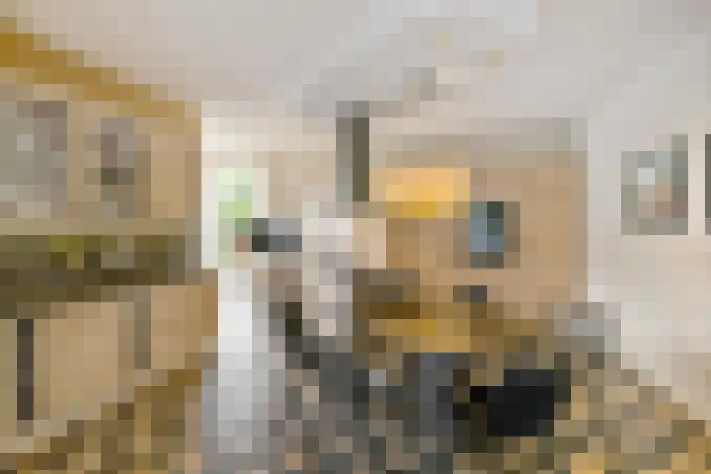 Kerkstraat 5 Zuidhorn thumbnail 18