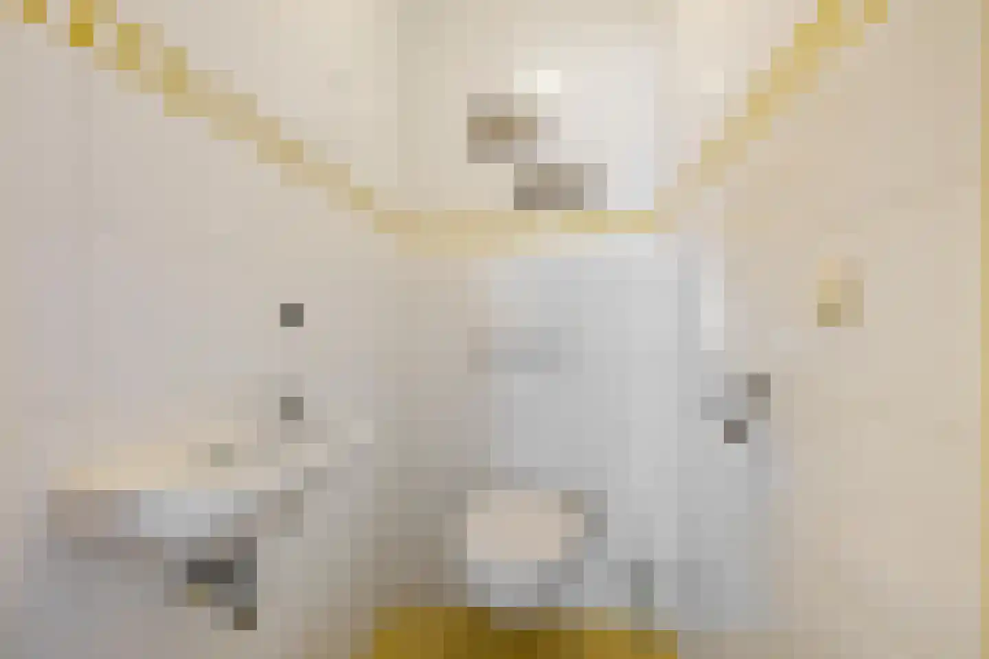 Kerkstraat 5 Zuidhorn thumbnail 35