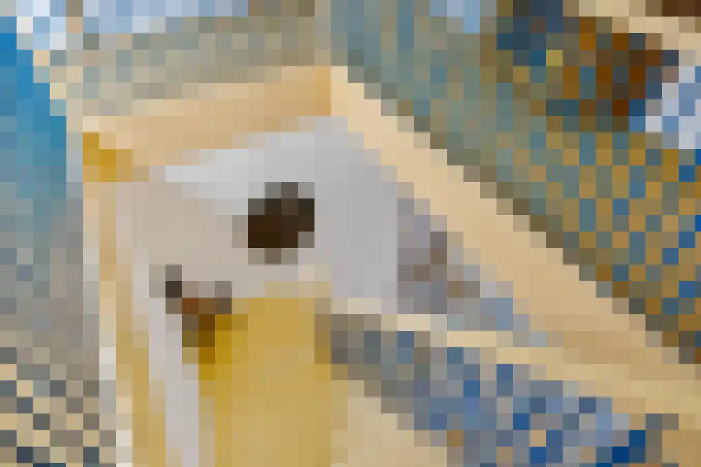Kerkstraat 5 Zuidhorn thumbnail 36