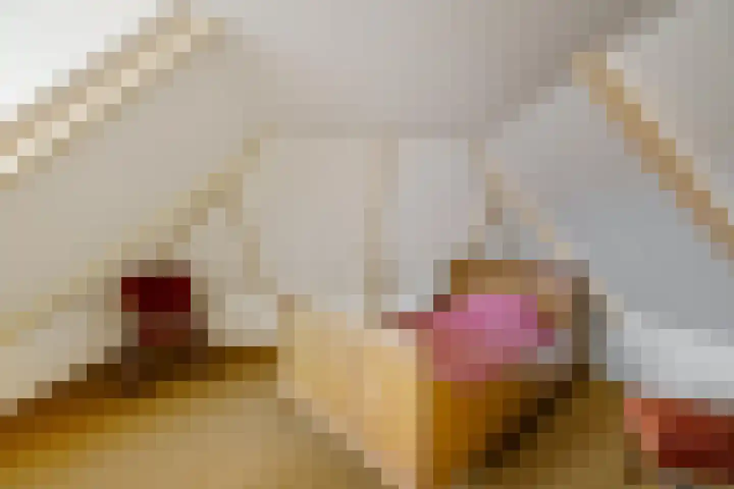 Kerkstraat 5 Zuidhorn thumbnail 40