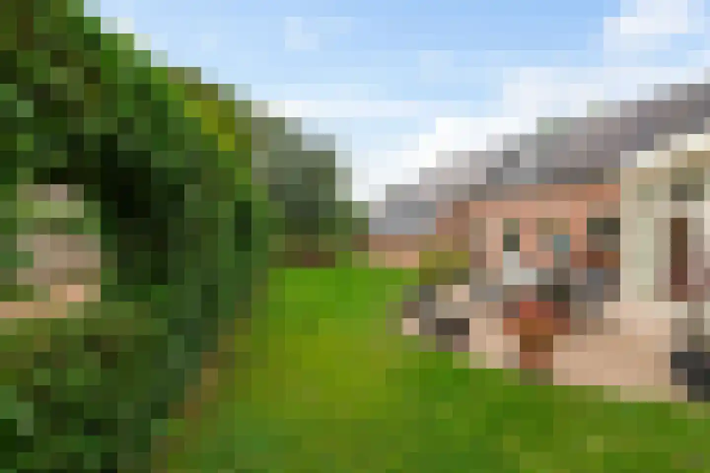 Kerkstraat 5 Zuidhorn thumbnail 66