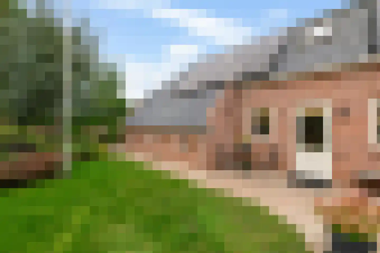 Kerkstraat 5 Zuidhorn thumbnail 68