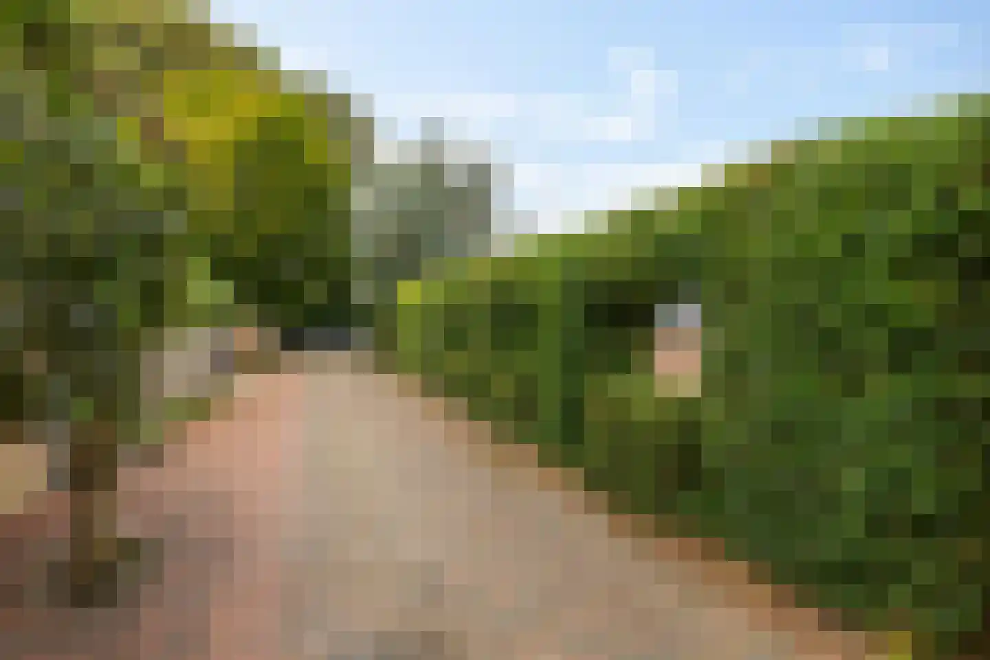 Kerkstraat 5 Zuidhorn thumbnail 79