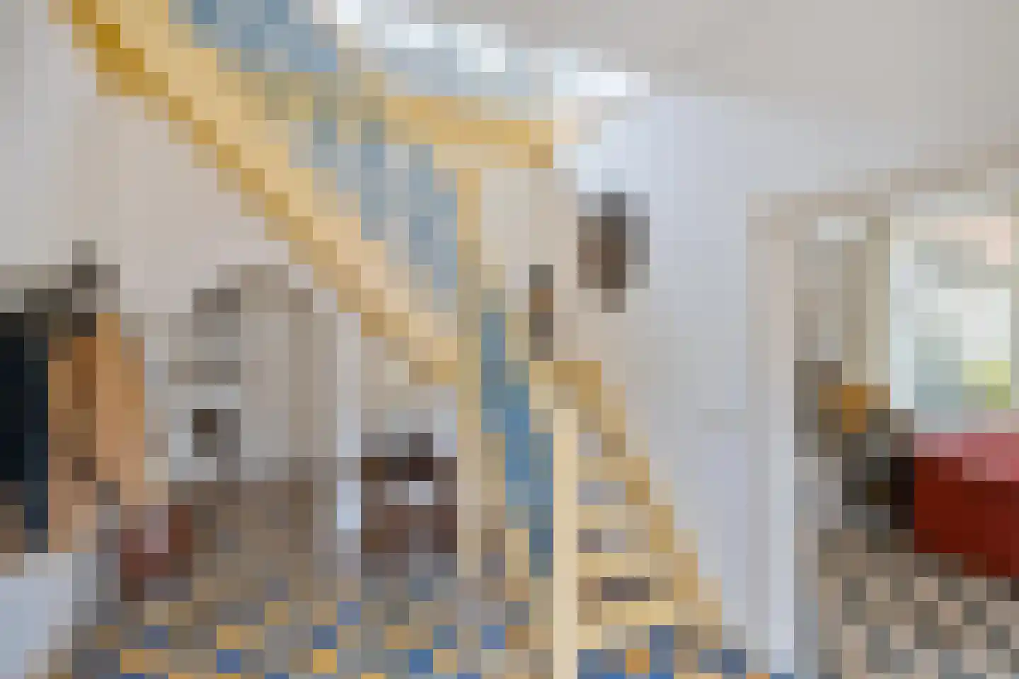 Kerkstraat 5 Zuidhorn thumbnail 8