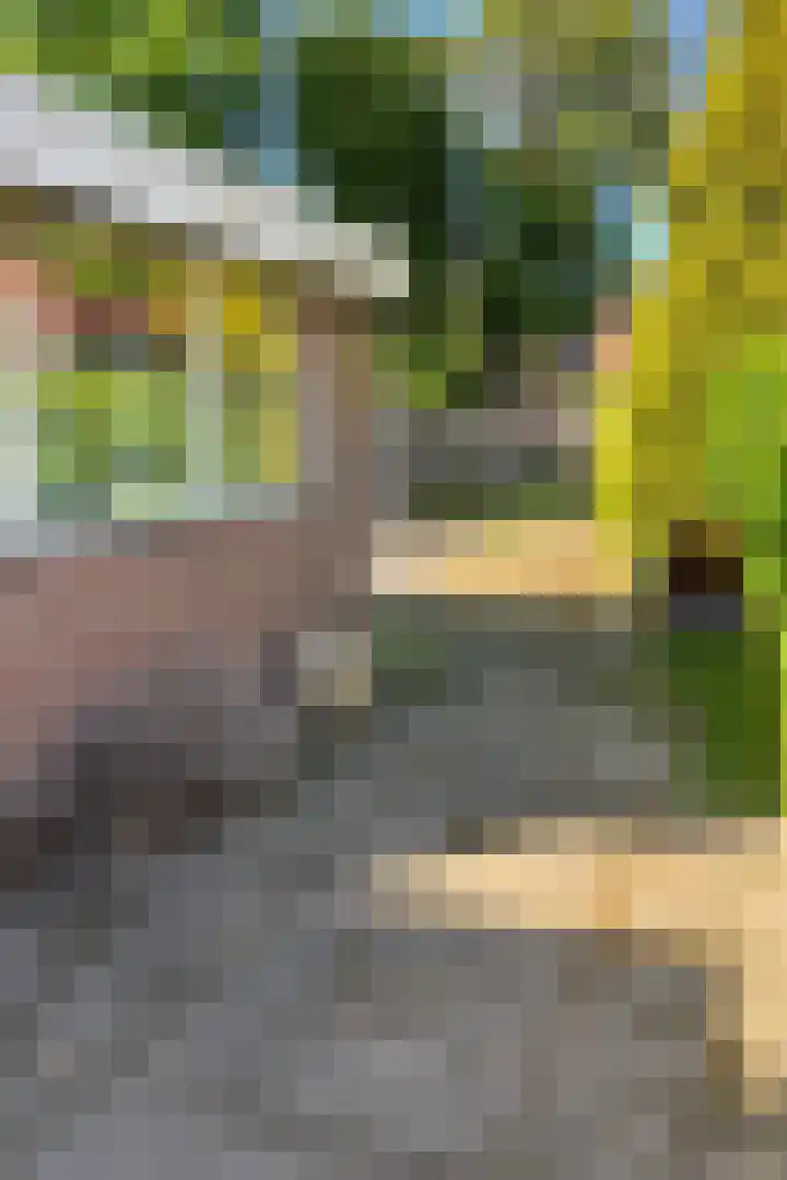 Kerkstraat 50 Goor thumbnail 22
