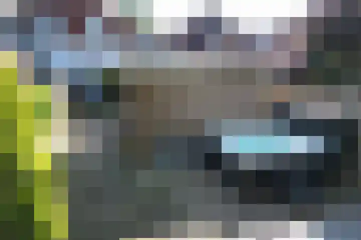Kerkstraat 50 Goor thumbnail 24