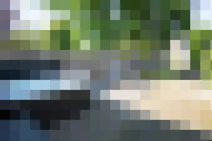 Kerkstraat 50 Goor thumbnail 25