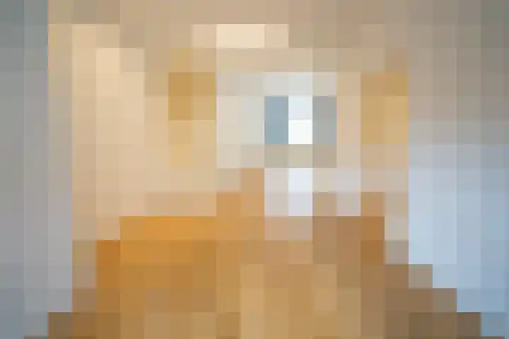 Kerkstraat 50 Goor thumbnail 7