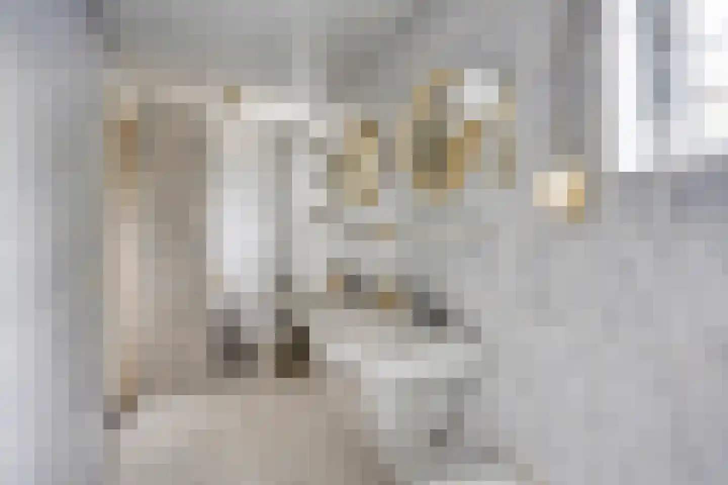 Kerkstraat 50 Milsbeek thumbnail 14