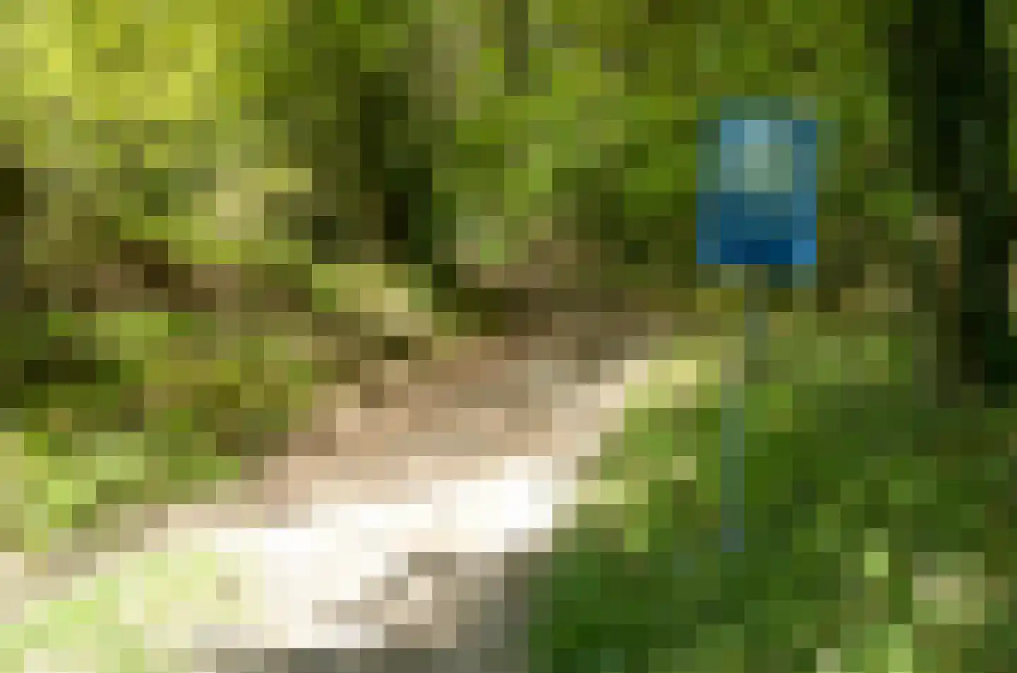 Kerkstraat 50 Milsbeek thumbnail 38