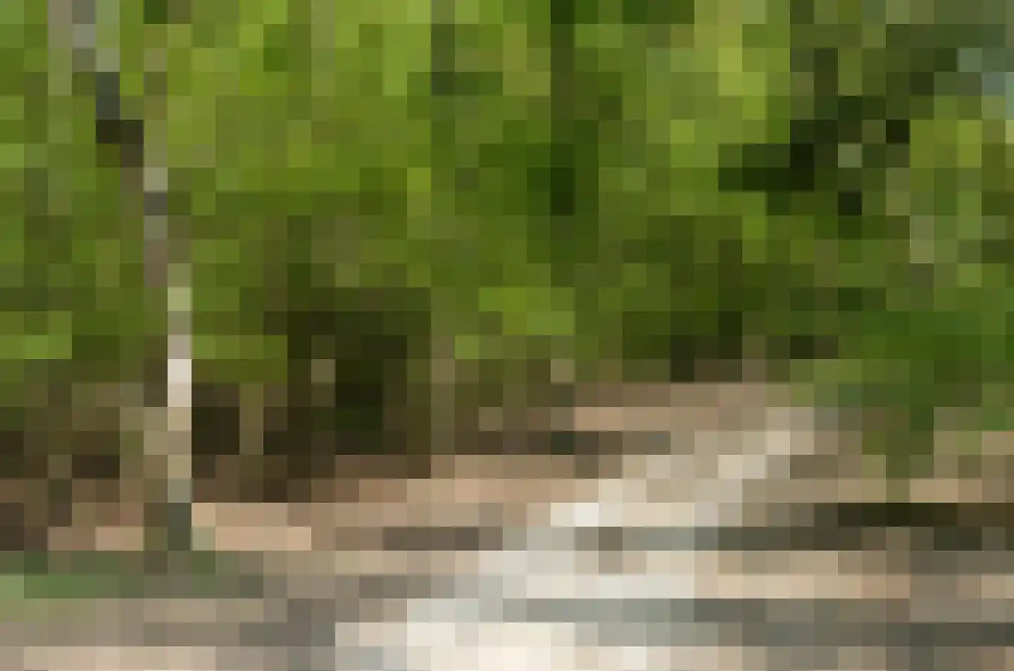 Kerkstraat 50 Milsbeek thumbnail 39