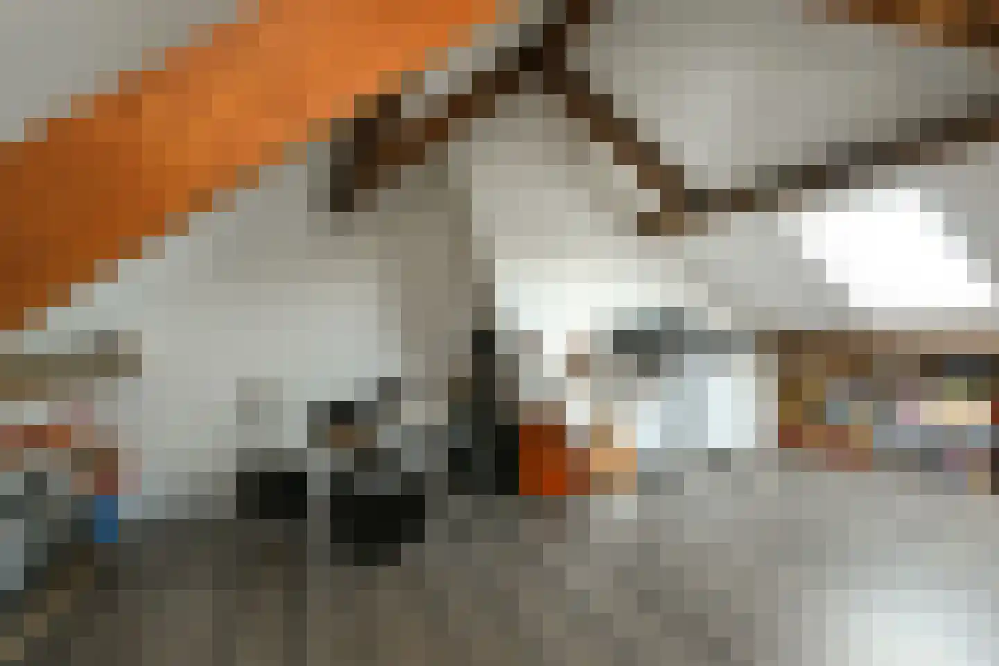 Kerkstraat 50 Panningen thumbnail 36