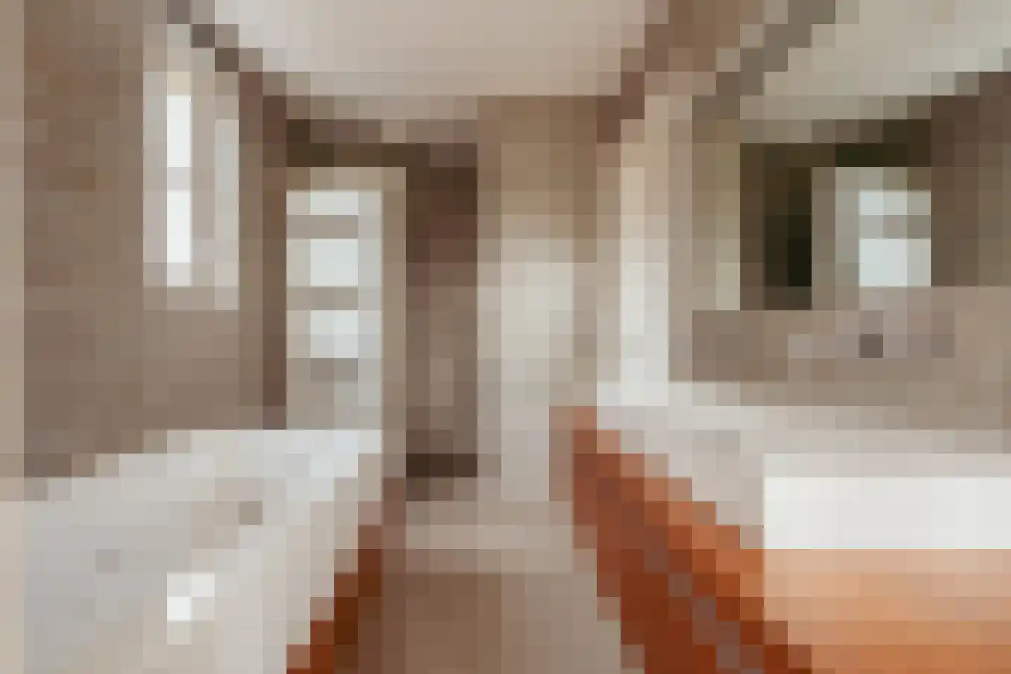 Kerkstraat 51 Ouderkerk aan de Amstel thumbnail 18