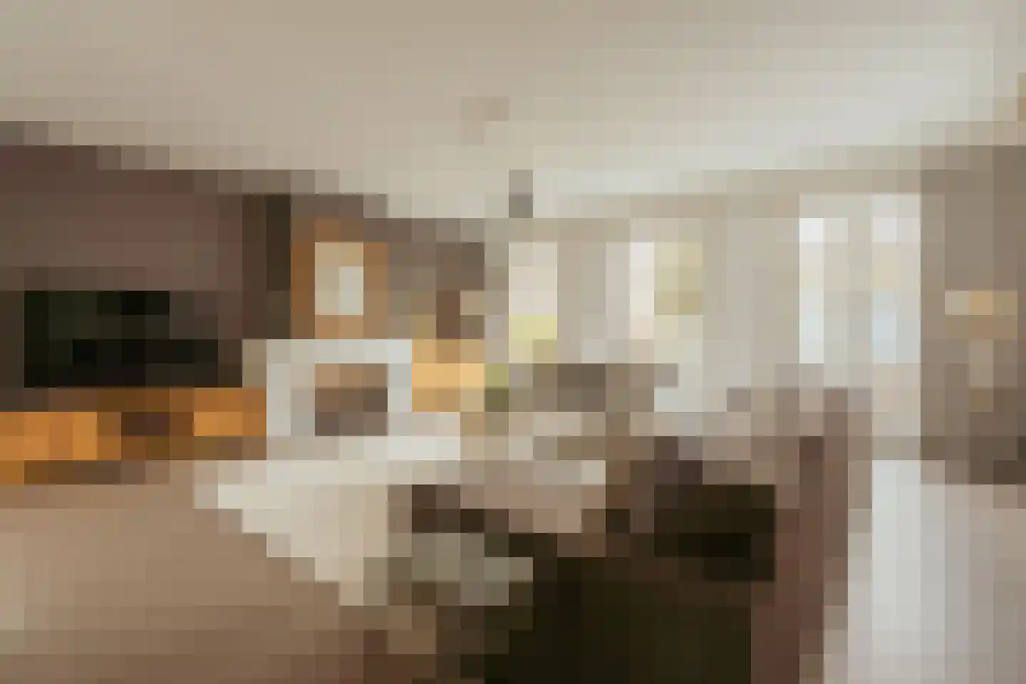 Kerkstraat 51 Ouderkerk aan de Amstel thumbnail 7