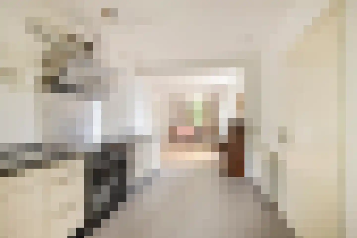 Kerkstraat 52 A Dongen thumbnail 17