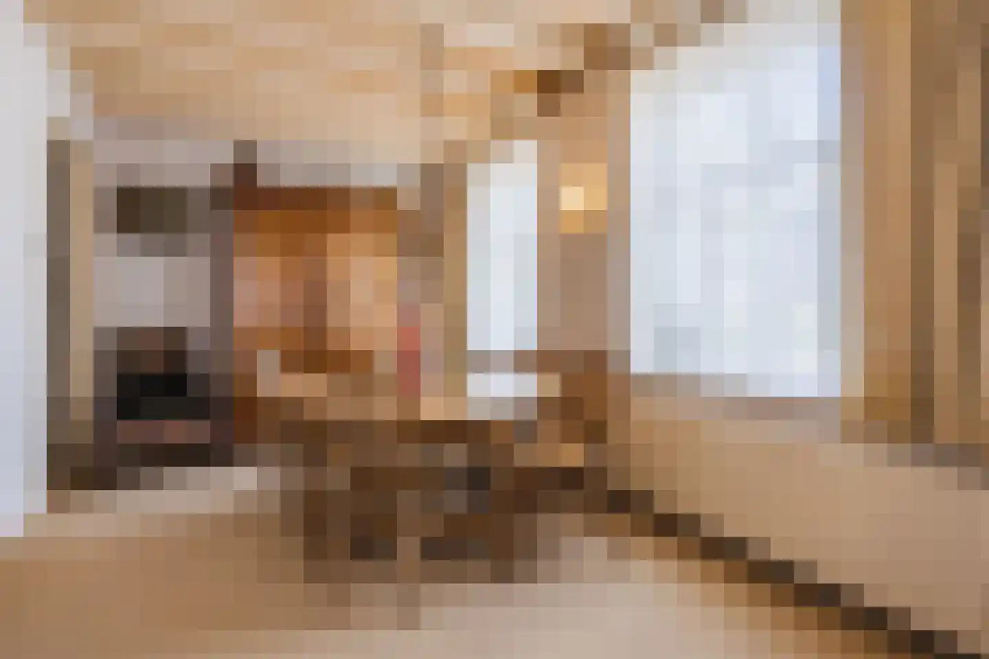 Kerkstraat 52 Erp thumbnail 18