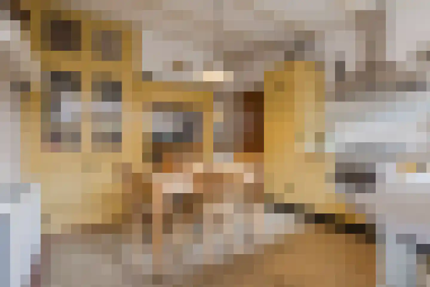 Kerkstraat 52 Erp thumbnail 20