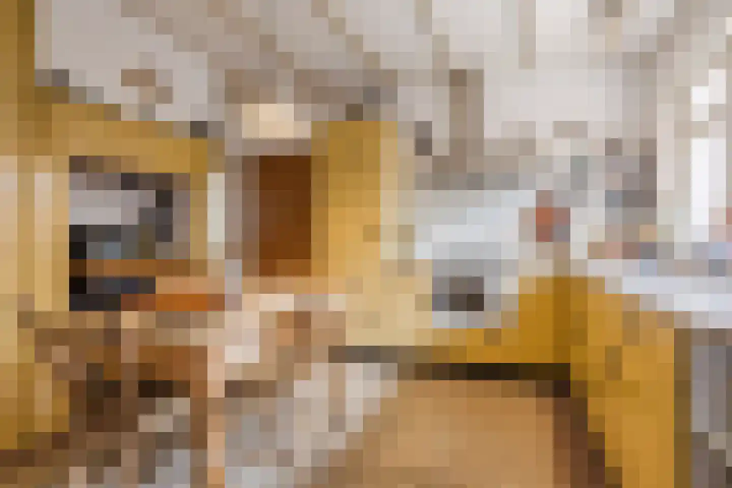 Kerkstraat 52 Erp thumbnail 21