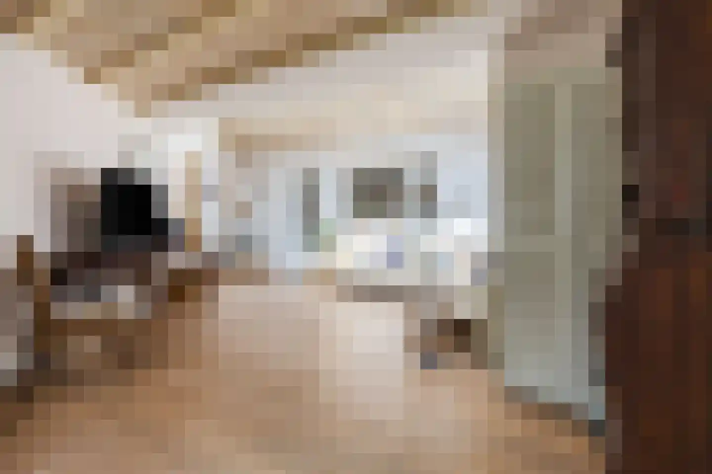 Kerkstraat 52 Erp thumbnail 24