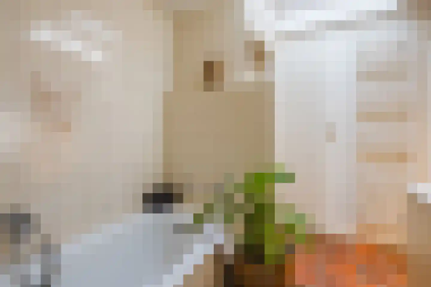 Kerkstraat 52 Erp thumbnail 28