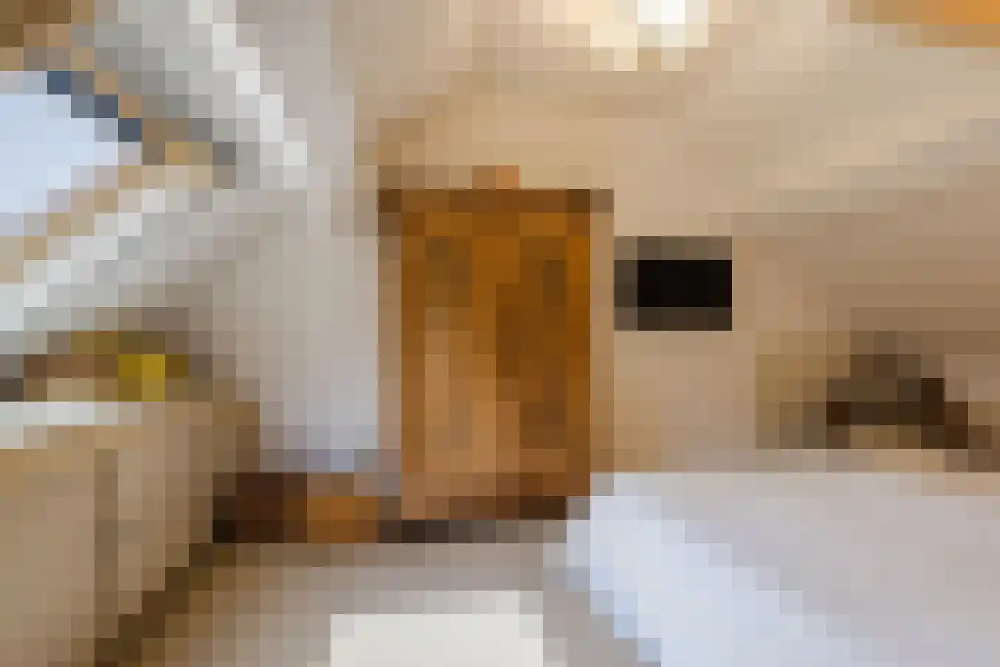 Kerkstraat 52 Erp thumbnail 32