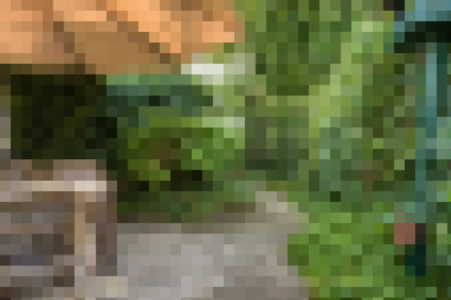 Kerkstraat 52 Erp thumbnail 39