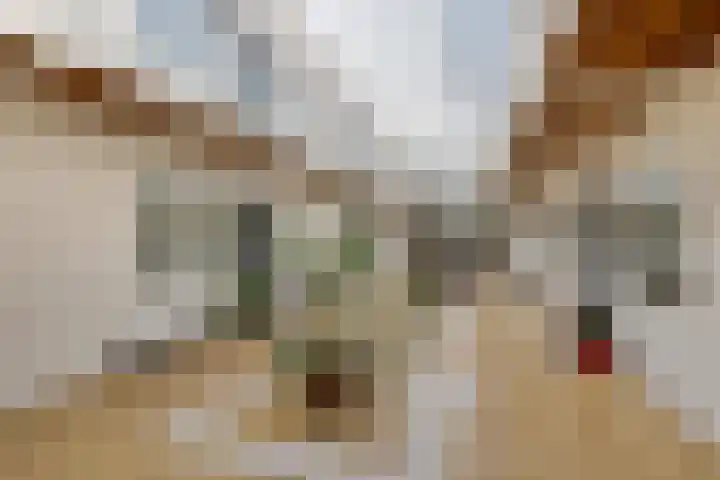 Kerkstraat 53 A Noordwijk thumbnail 19