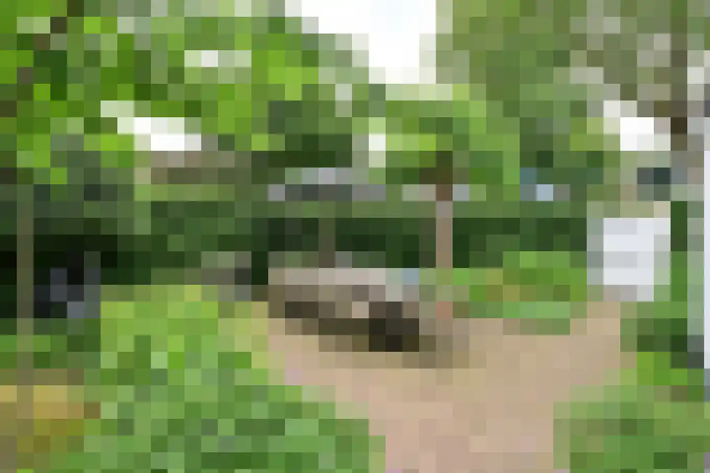 Kerkstraat 53 Huizen thumbnail 14
