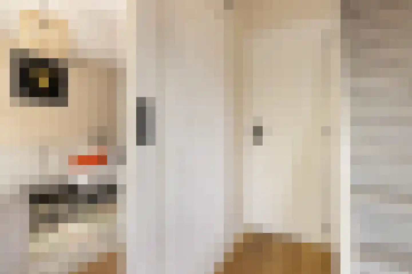 Kerkstraat 53 Oostzaan thumbnail 13